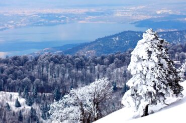 Kartepe Gömme Rezervuar Servisi